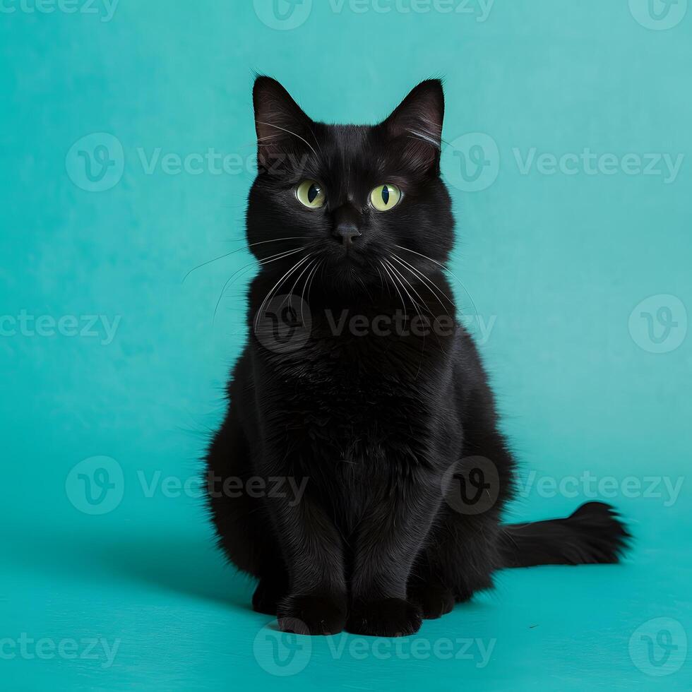 AI generated Cute black cat strikes a charming pose, capturing hearts For Social Media Post Size photo