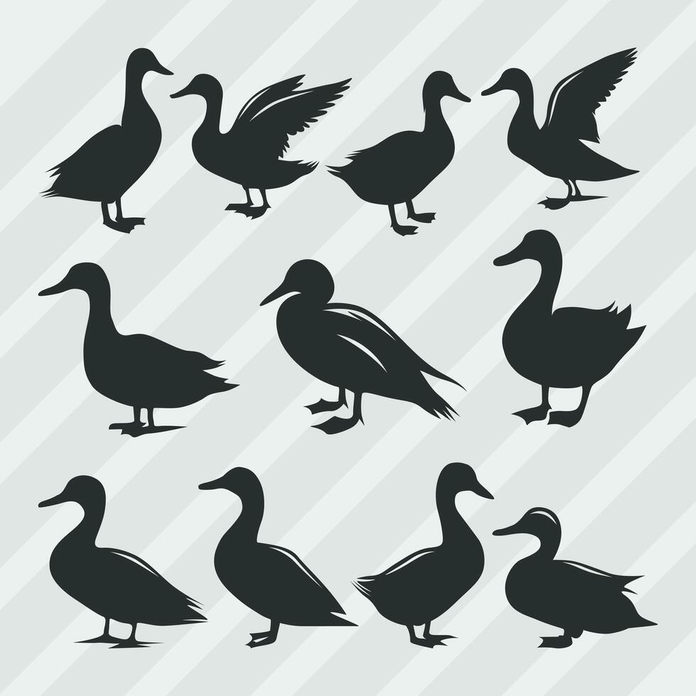 Duck vector silhouettes bundle, Set of various pose duck collection