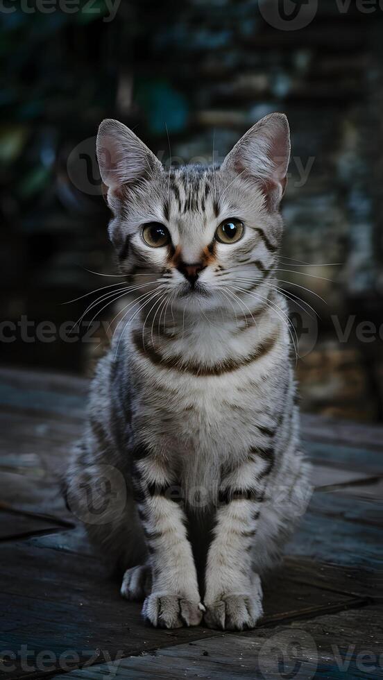 AI generated Stray cats captivating portrait showcases its unique beauty Vertical Mobile Wallpaper photo