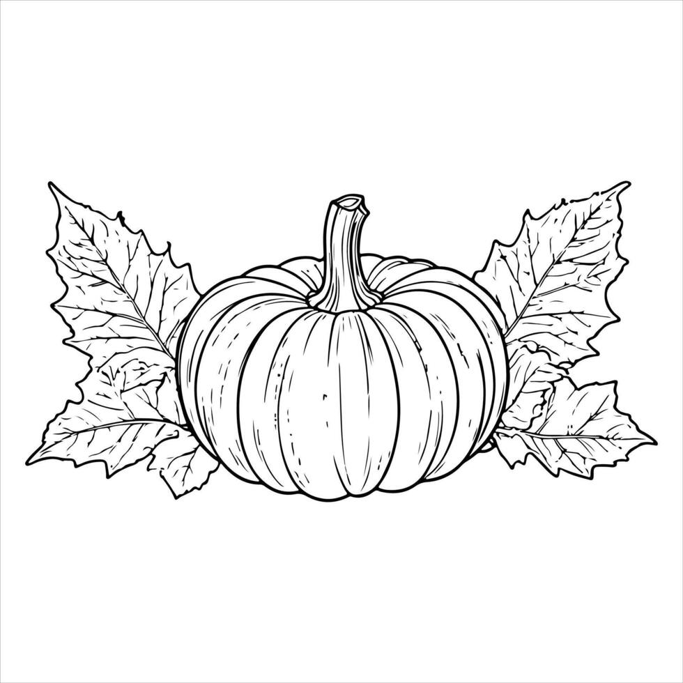 ai generado continuo uno negro línea dibujo de calabaza Víspera de Todos los Santos otoño cosecha contorno bosquejo garabatear para colorante vector en blanco antecedentes