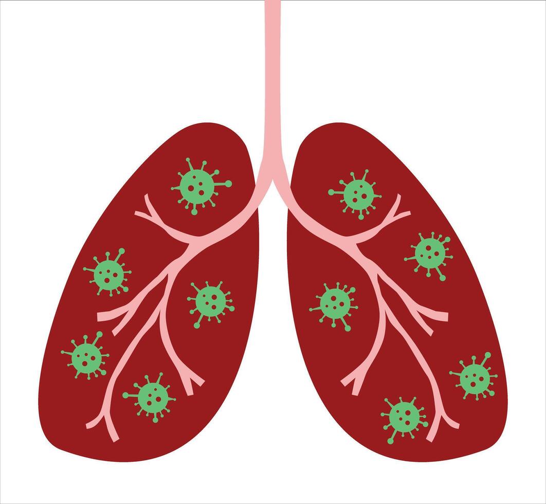 Human lung vector illustration