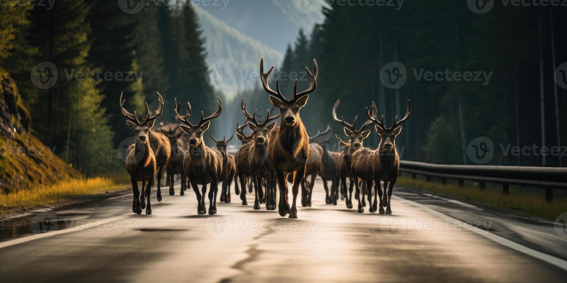 AI generated There are lot of elk on the road. Conservation of wild animals. Safe driving. Generative AI photo