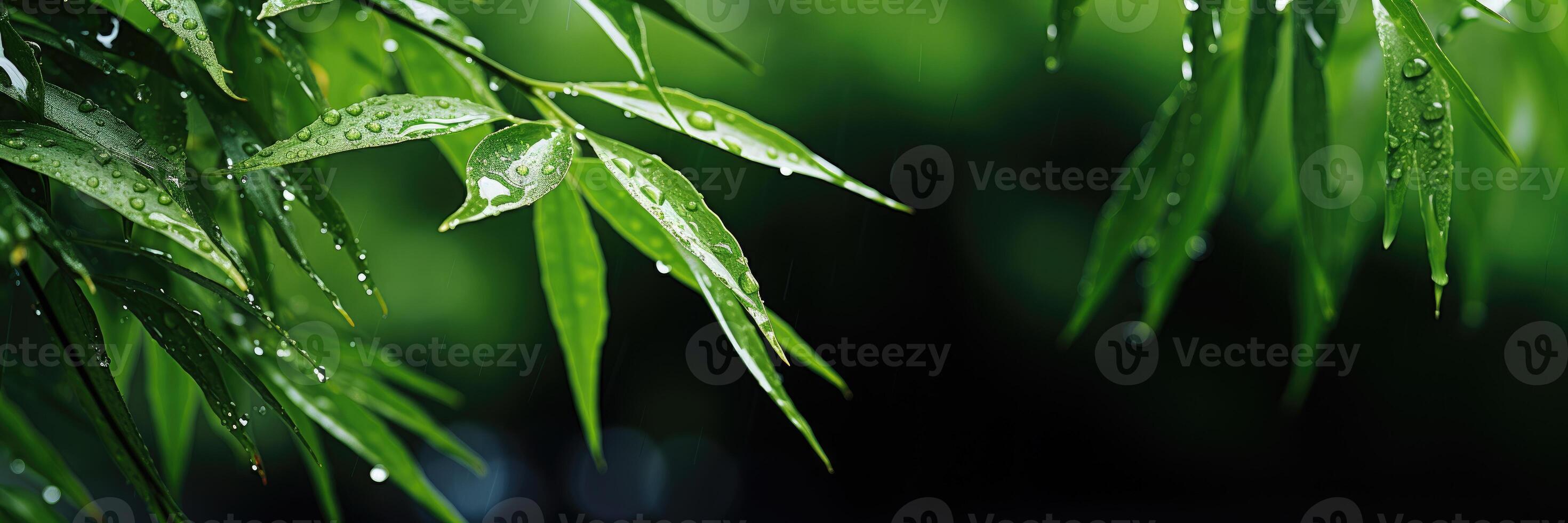 ai generado horizontal bandera de bambú ramas con gotas de lluvia. sitio para texto. generativo ai foto