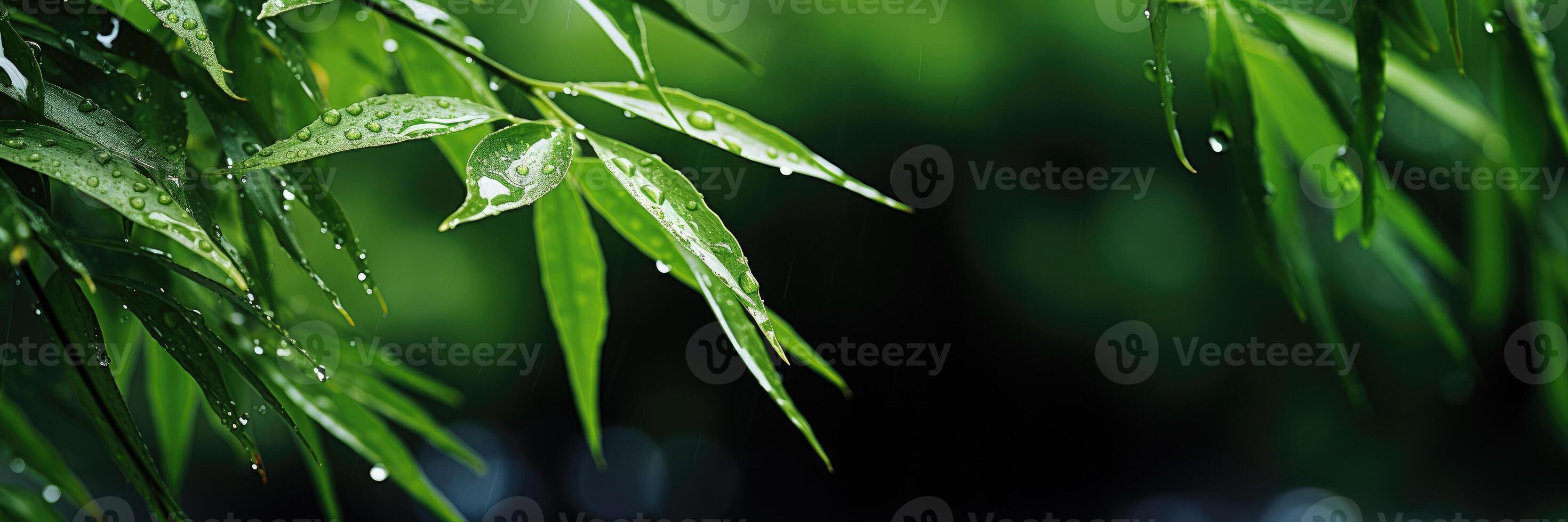 AI generated Horizontal banner of bamboo branches with raindrops. Place for text. Generative AI photo