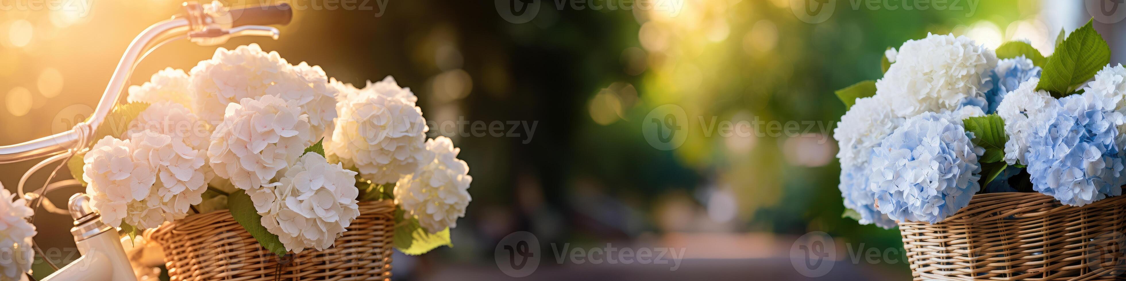 AI generated hydrangeas in a bicycle basket, space for text, romantic photo. Generative AI photo