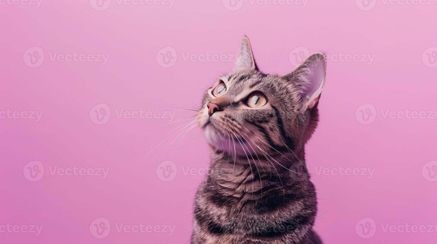 ai generado un gato en un pastel aislado antecedentes foto