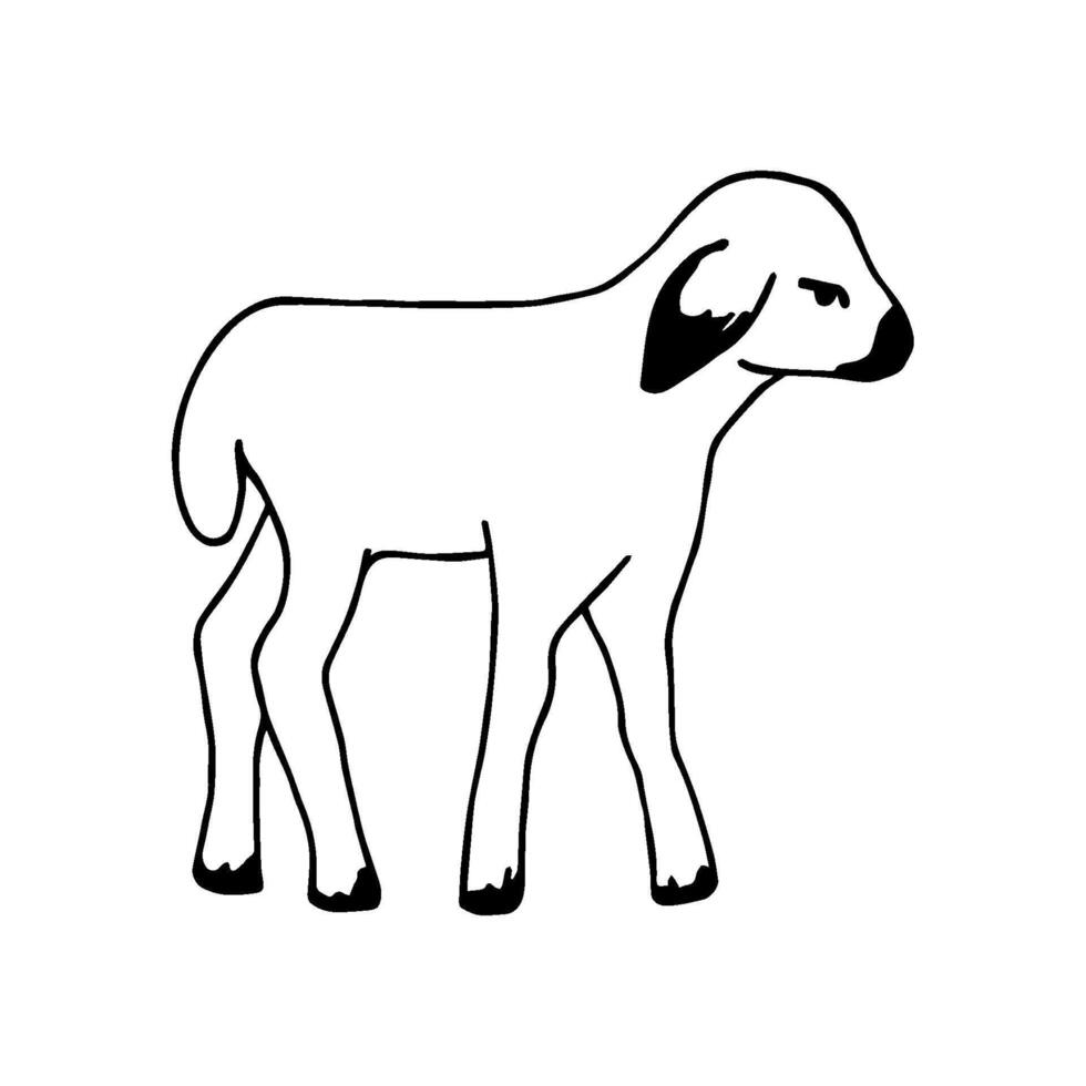 Simple hand-drawn black outline vector drawing. Little cute lamb isolated on a white background. Farm animals, livestock breeding, zoo.