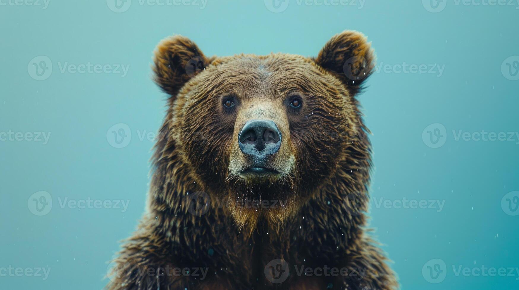 ai generado un oso en un pastel azul antecedentes foto