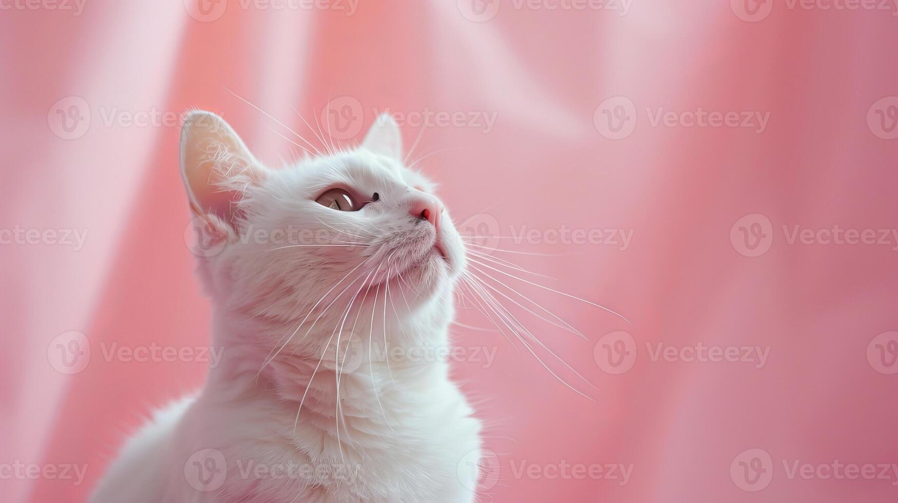 AI generated A cat on a pastel isolated background photo