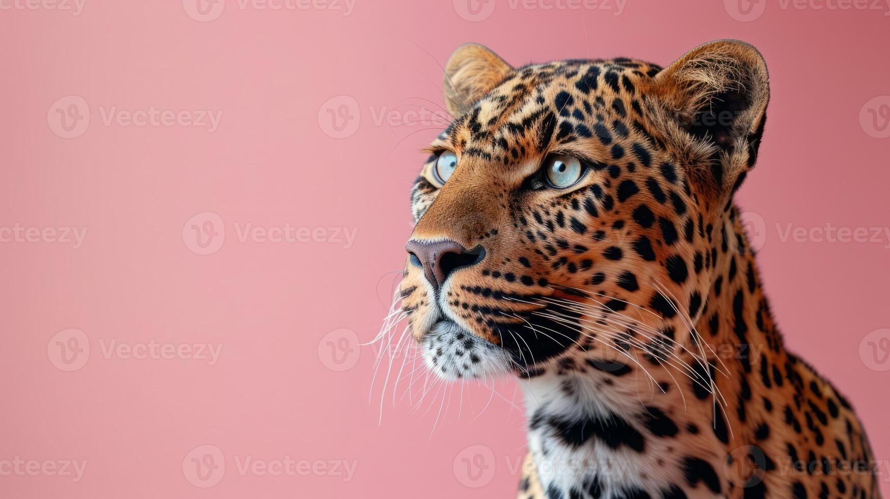 ai generado un leopardo en un pastel rosado antecedentes foto