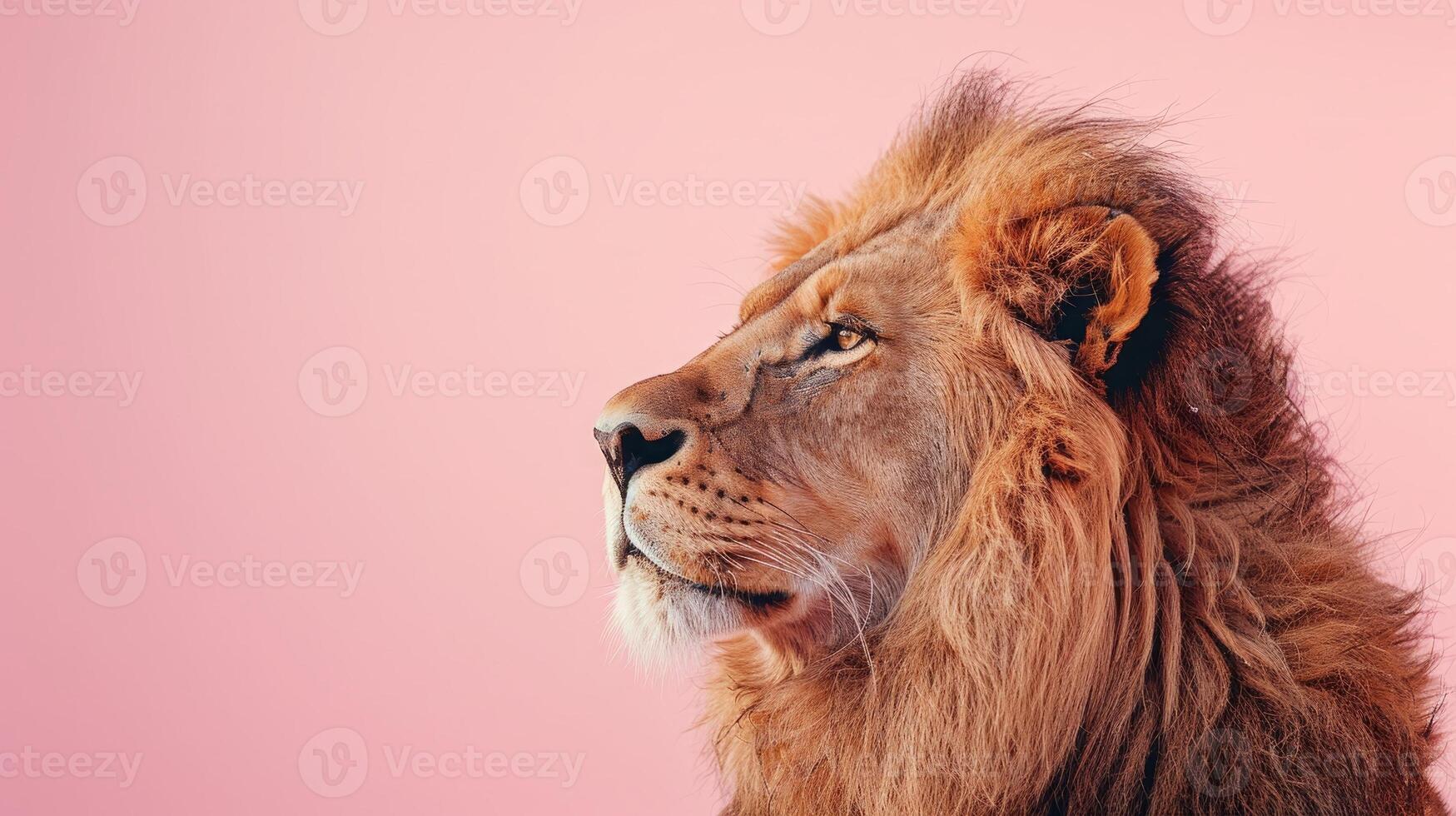 AI generated A lion on a pastel pink background photo