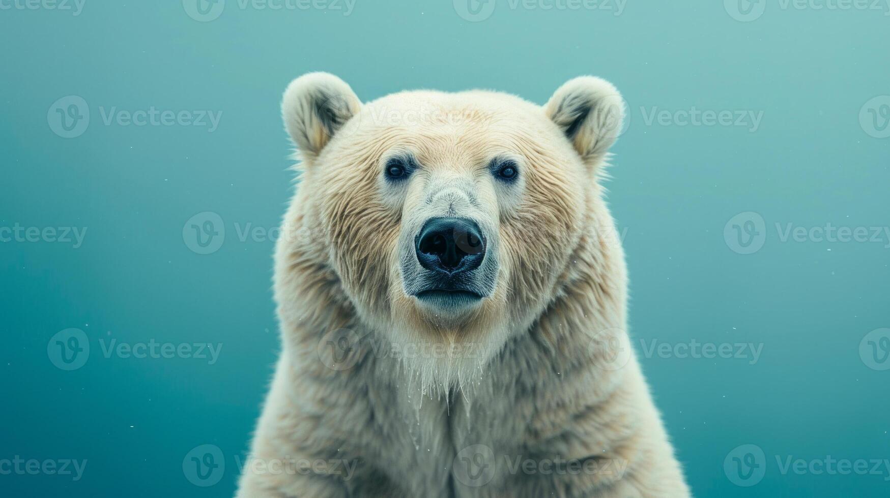 ai generado un polar oso en un pastel aislado antecedentes foto