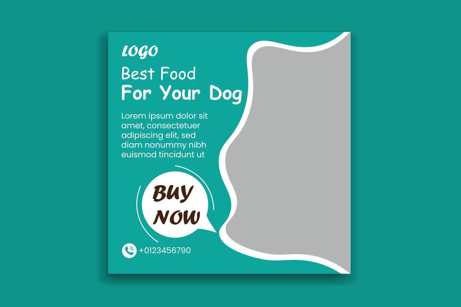 Template with adopt a pet flyer design vector