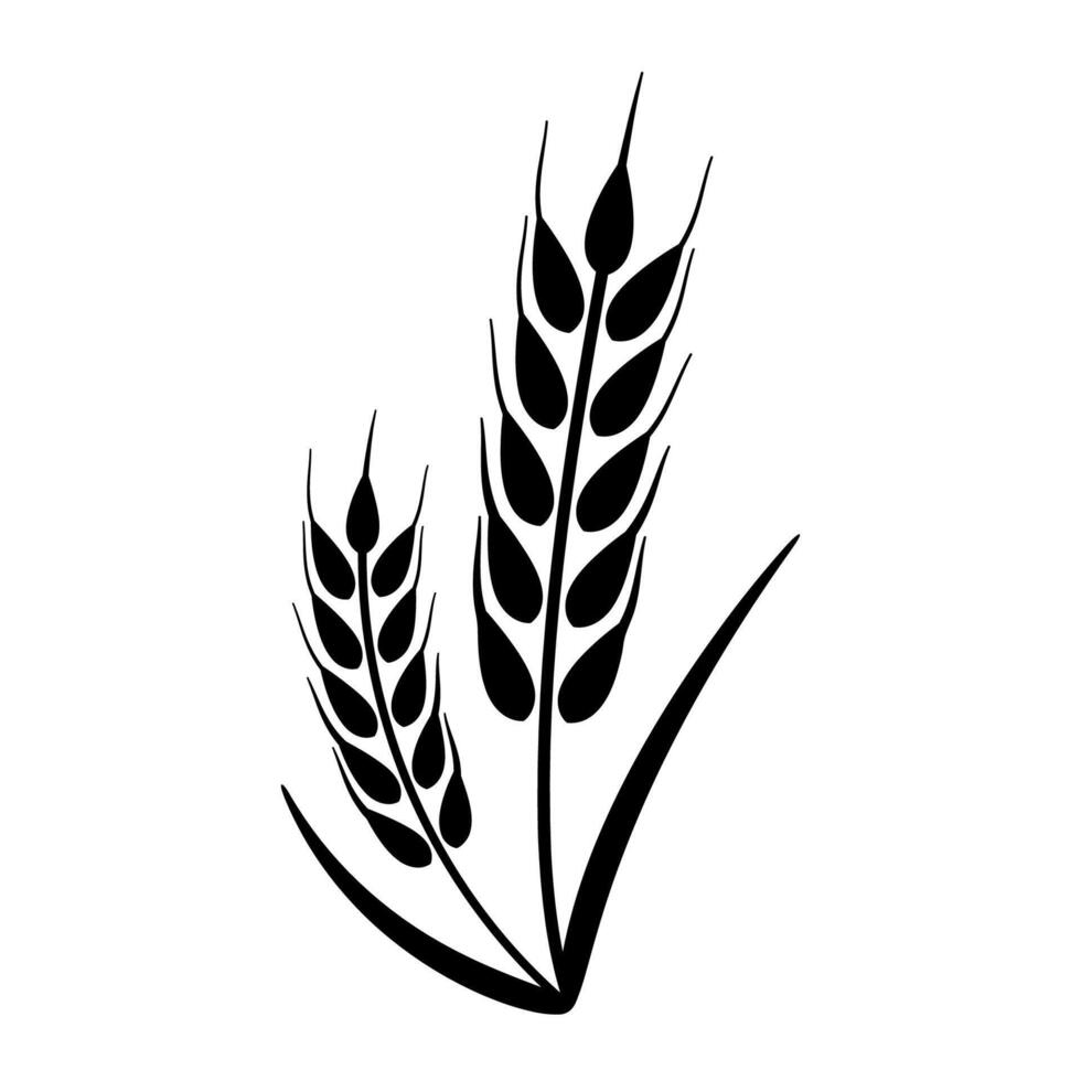 Ear of Wheat, Barley or Rye. icon isolated on white background vector