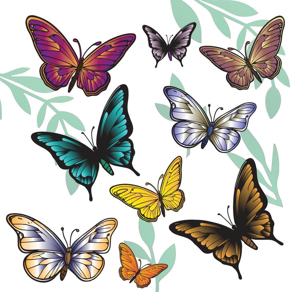 colorful butterflies illustration vector