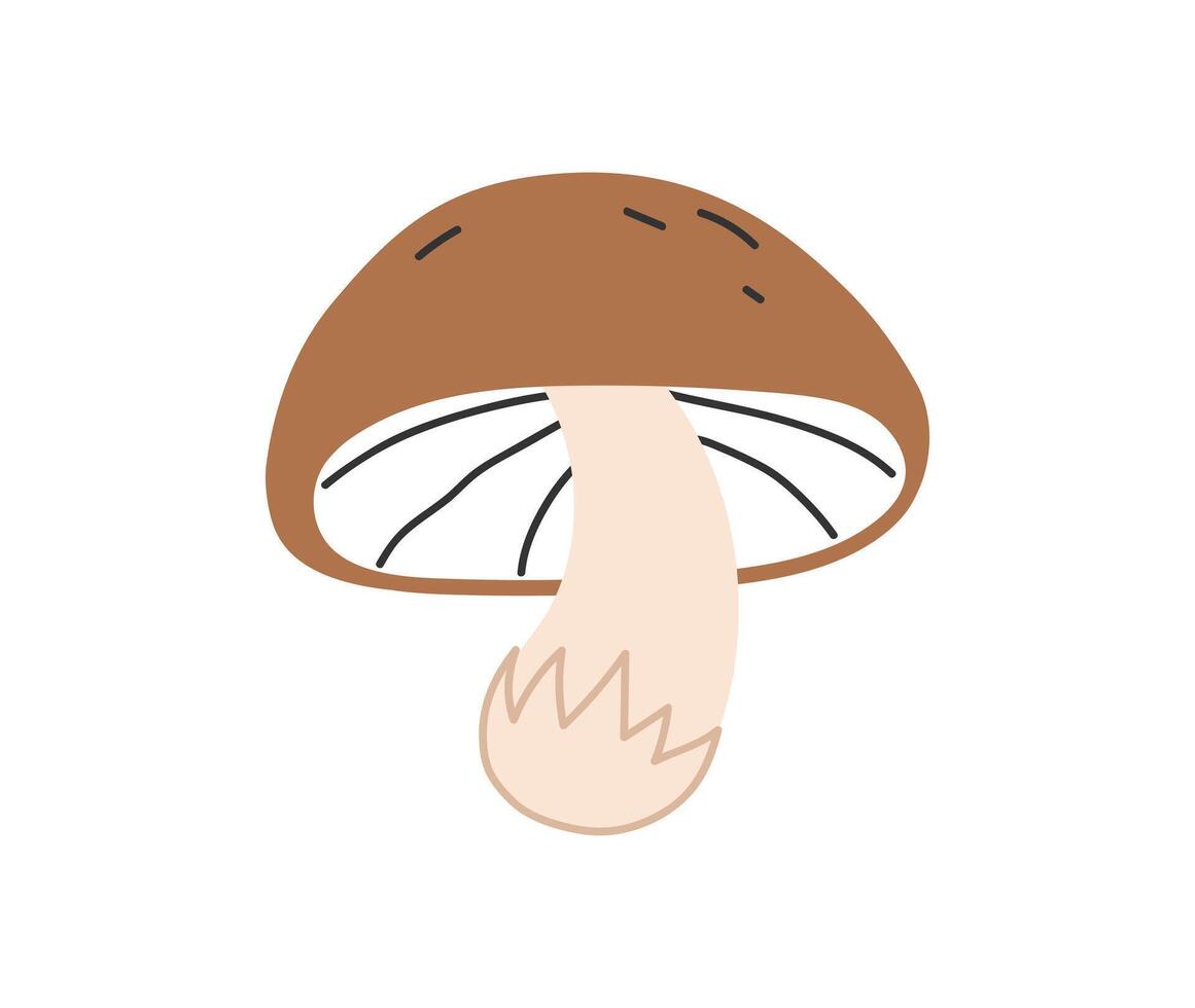 Hand drawn cute contemporary illustration of porcini. Flat mushroom or fungus element in simple colored doodle style. Forest, nature, autumn icon or print. Isolated on white background. vector