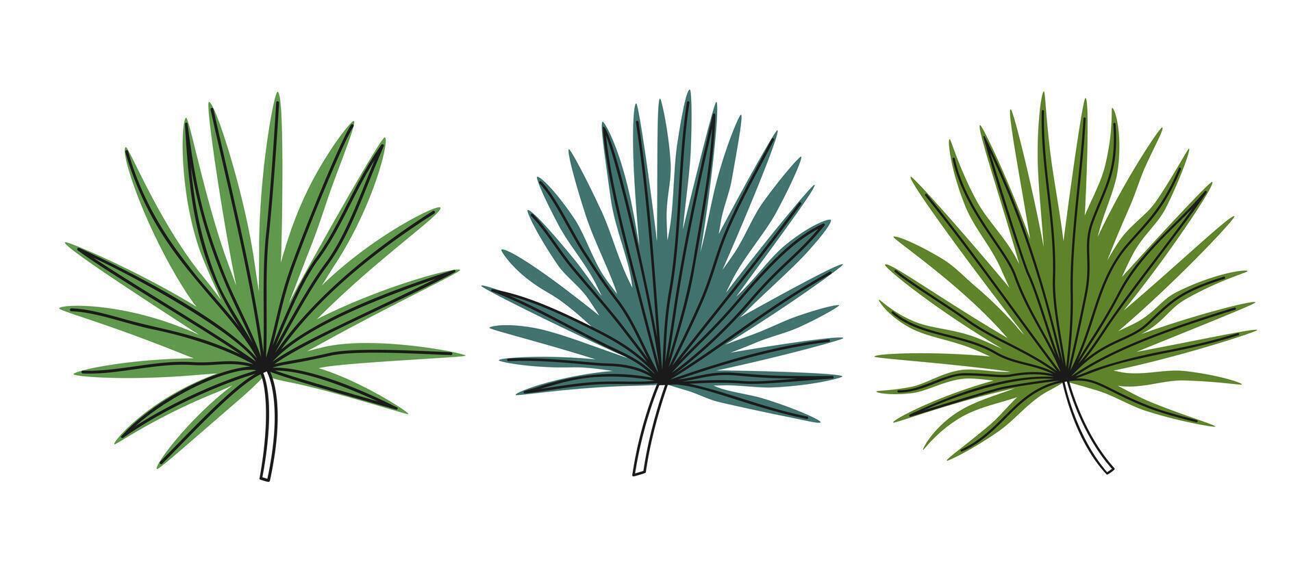 Hand drawn cute summer illustration of palm leaves set. Flat botanical frond elements in simple colored doodle style. Tropical exotic floral icon or print. Isolated on white background. vector