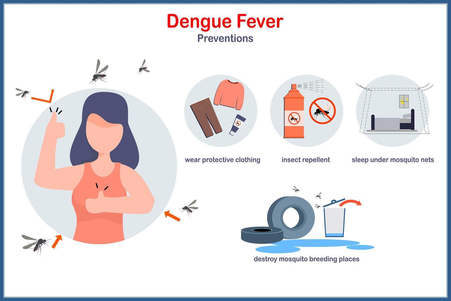Infographic illustration of dengue fever prevention,wear protective clothing,insect repellent, sleeping under mosquito nets.Medical illustration concept in flat style. vector