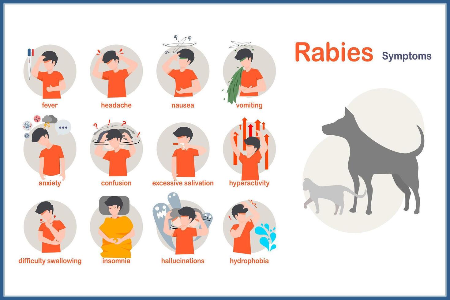 Medical illustration in flat style.Symptoms of rabies include fever,headache,nausea and vomiting.anxiety and confusion hyperactivity,insomnia and hydrophobia.excessive salivation,hallucinations vector