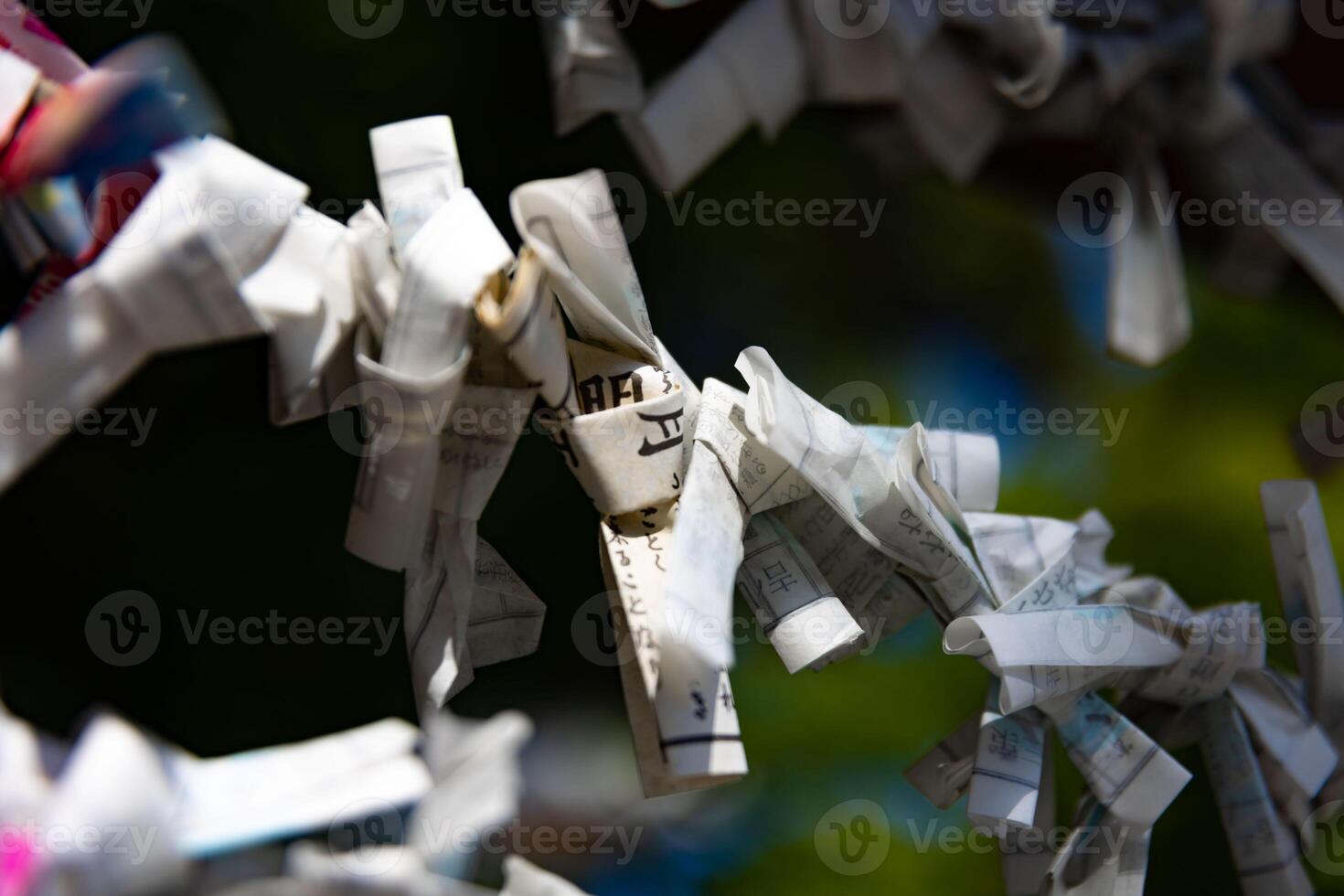 A fortune telling slip at Tomioka Shrine closeup photo