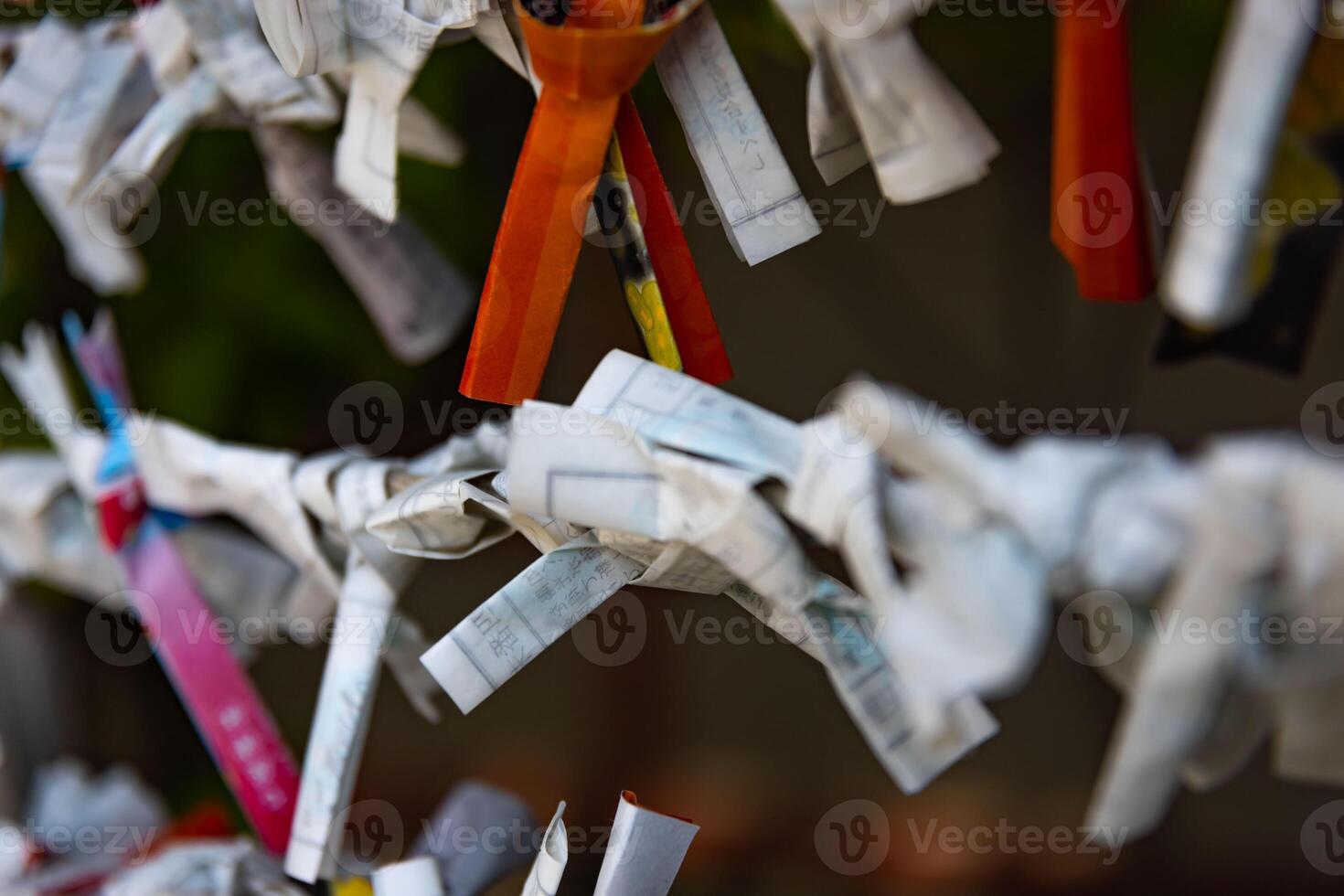 A fortune telling slip at Tomioka Shrine closeup photo