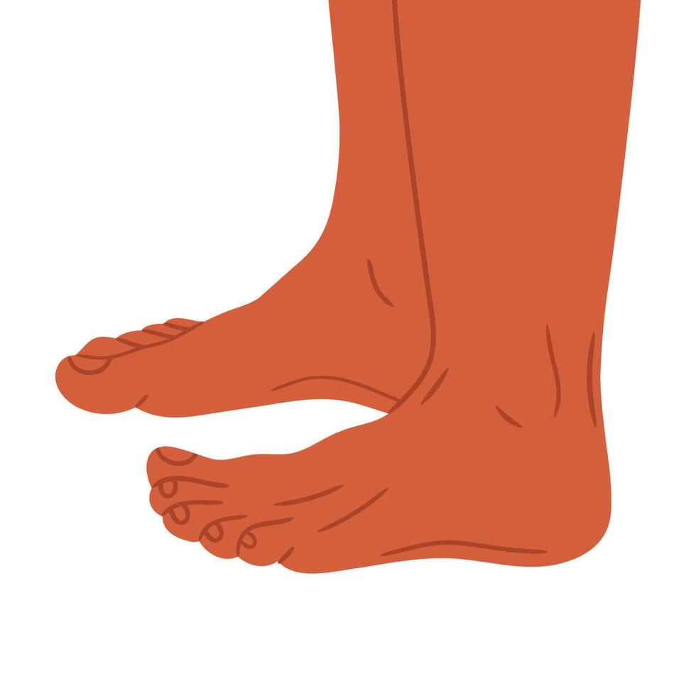 Human naked feet. Barefoot legs in side view, bare pair of legs, man or woman feet in standing position flat illustration. Hand drawn feet on white vector