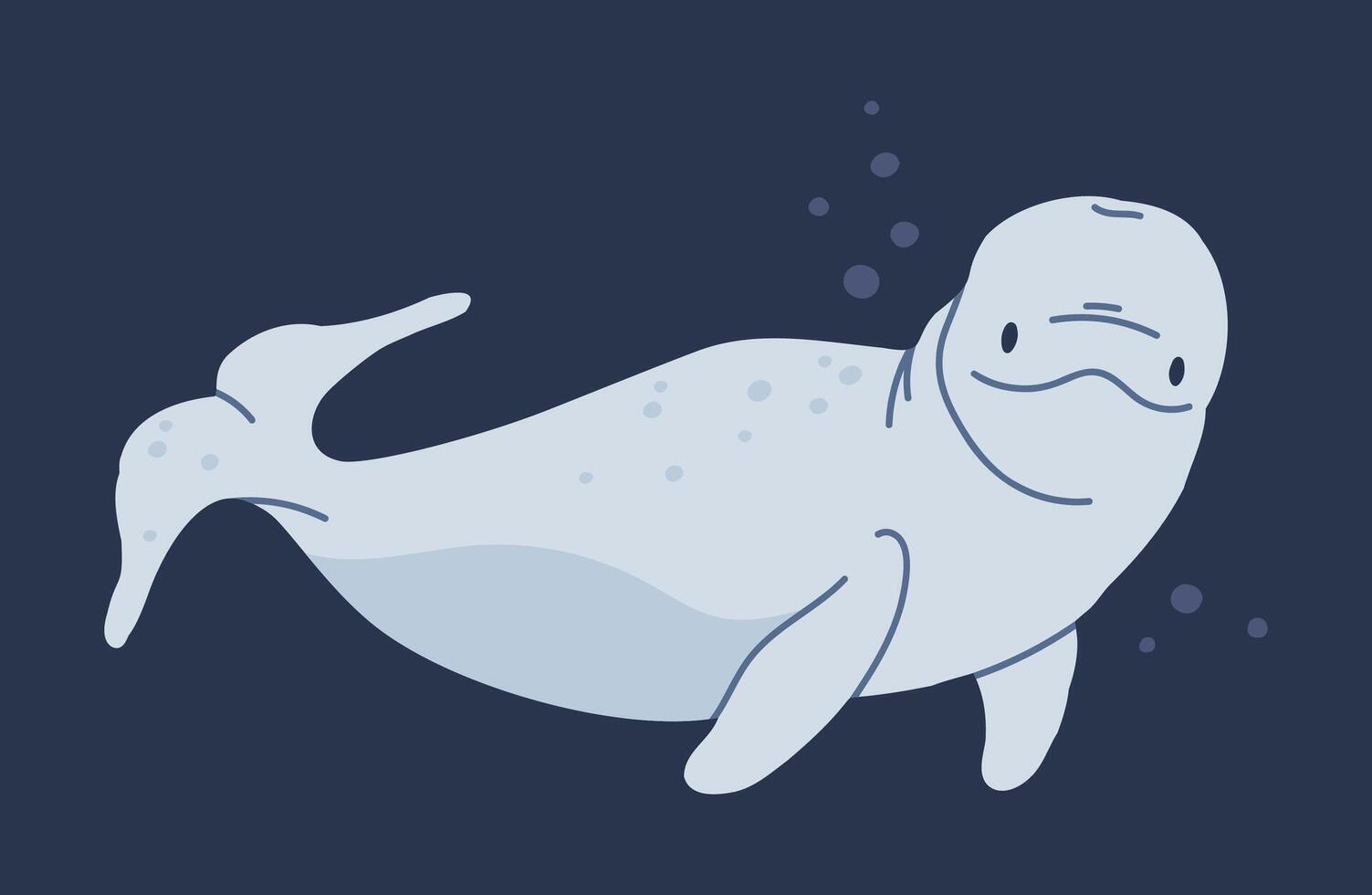 Beluga whale. Underwater mammal animal, hand drawn white whale, aquatic cute creature swimming in ocean flat illustration. White whale animal vector