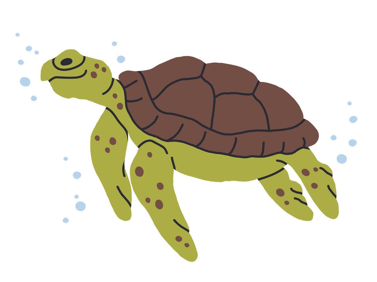 Marine turtle. Wild ocean turtle with shell, cute swimming reptile flat illustration. Hand drawn turtle on white vector