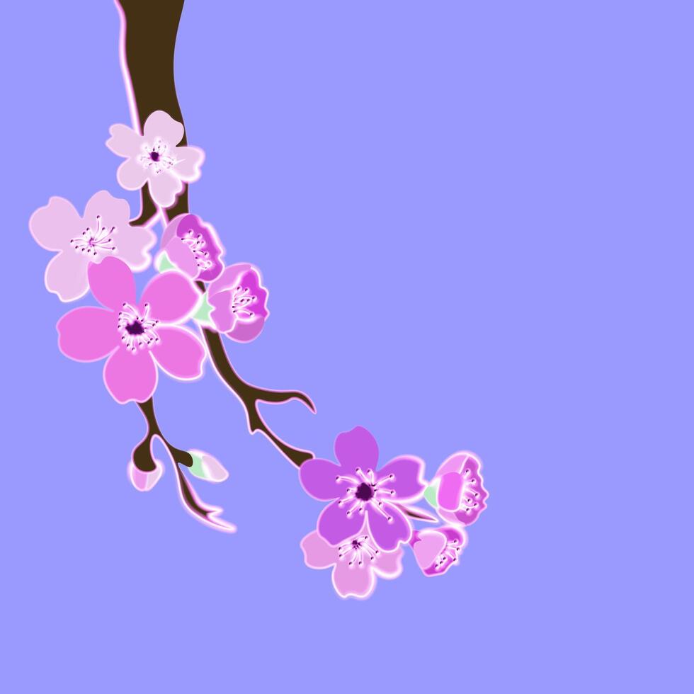Branch with sakura blossoms a purple background. vector