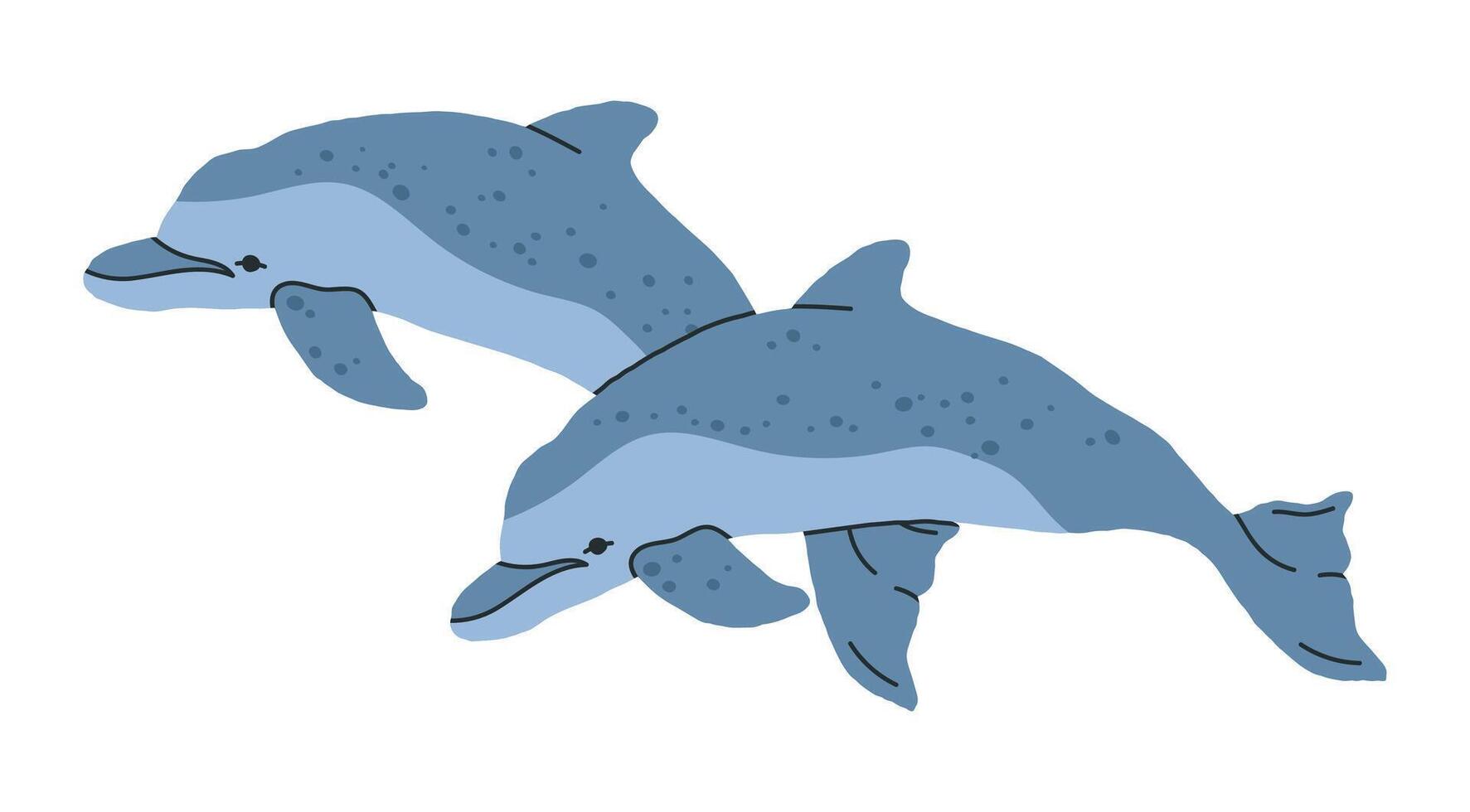 Wild dolphins. Sea mammal animals, cute dolphins swim in ocean, hand drawn aquatic fauna flat illustration. Underwater dolphins on white vector