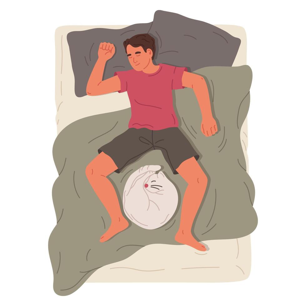 mano dibujado dormido hombre. masculino personaje descansando en cama con linda gato, chico y su mascota relajante en acogedor cama plano ilustración. dormido persona en blanco vector