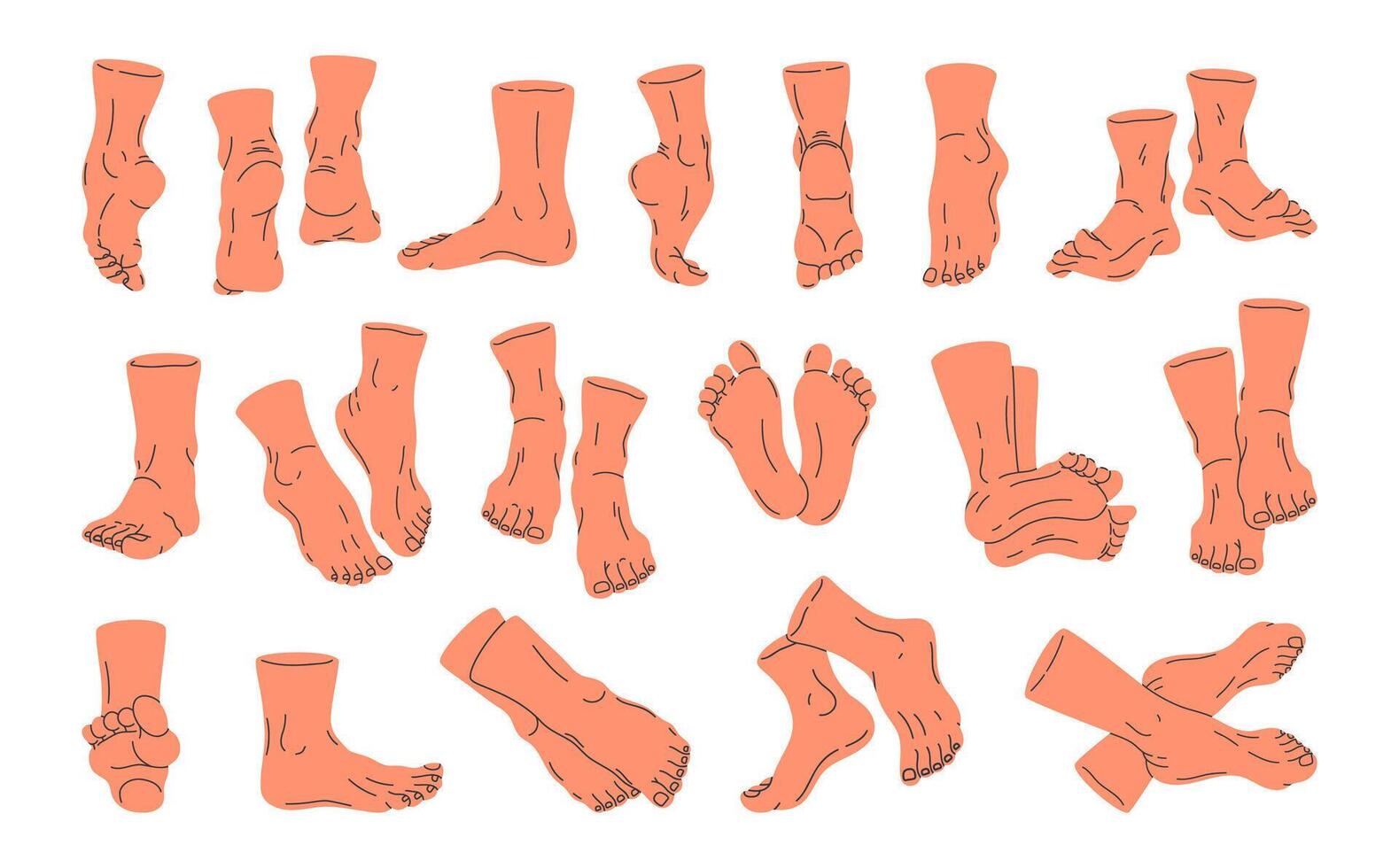 Human barefoot legs. Bare human feet in different poses, back, front, side feet view flat illustration set. Standing and walking legs vector
