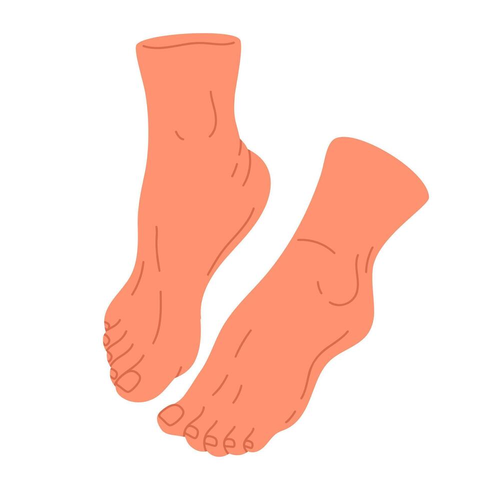 Human naked feet. Hand drawn barefoot legs, bare pair feet in relaxed position flat isolated illustration. Female feet on white vector