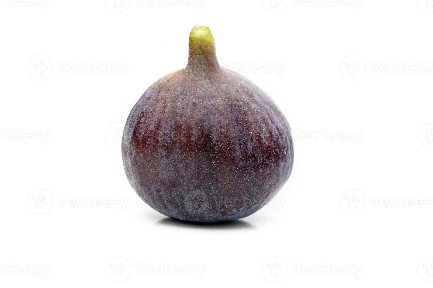 Isolated fig. One fresh fig fruit isolated on white background 1 photo