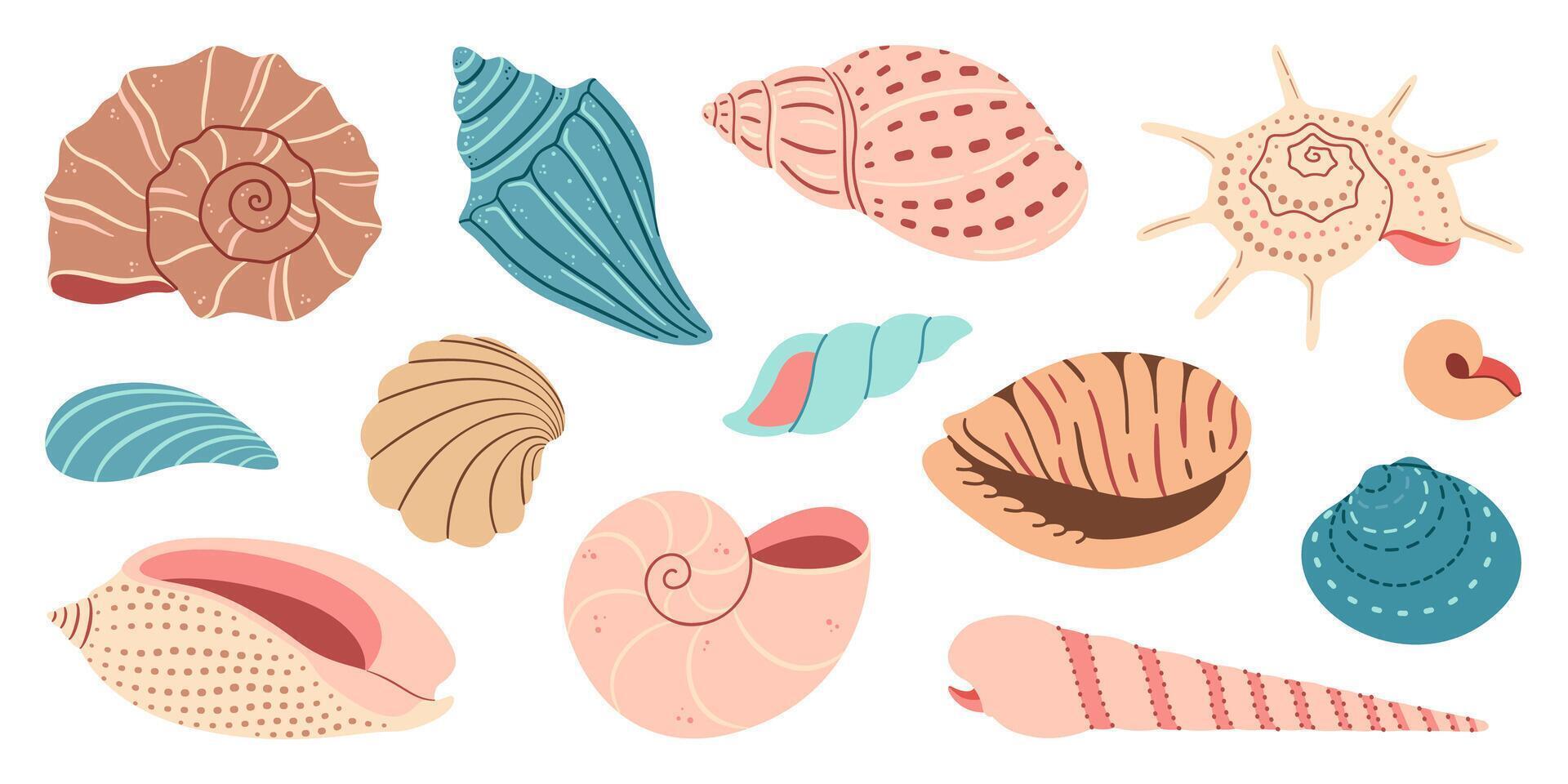 mar cáscara dibujos animados colocar. Oceano exótico submarino concha concha acuático molusco, mar espiral caracol recopilación. tropical playa conchas moderno plano estilo aislado en blanco antecedentes. ilustración vector