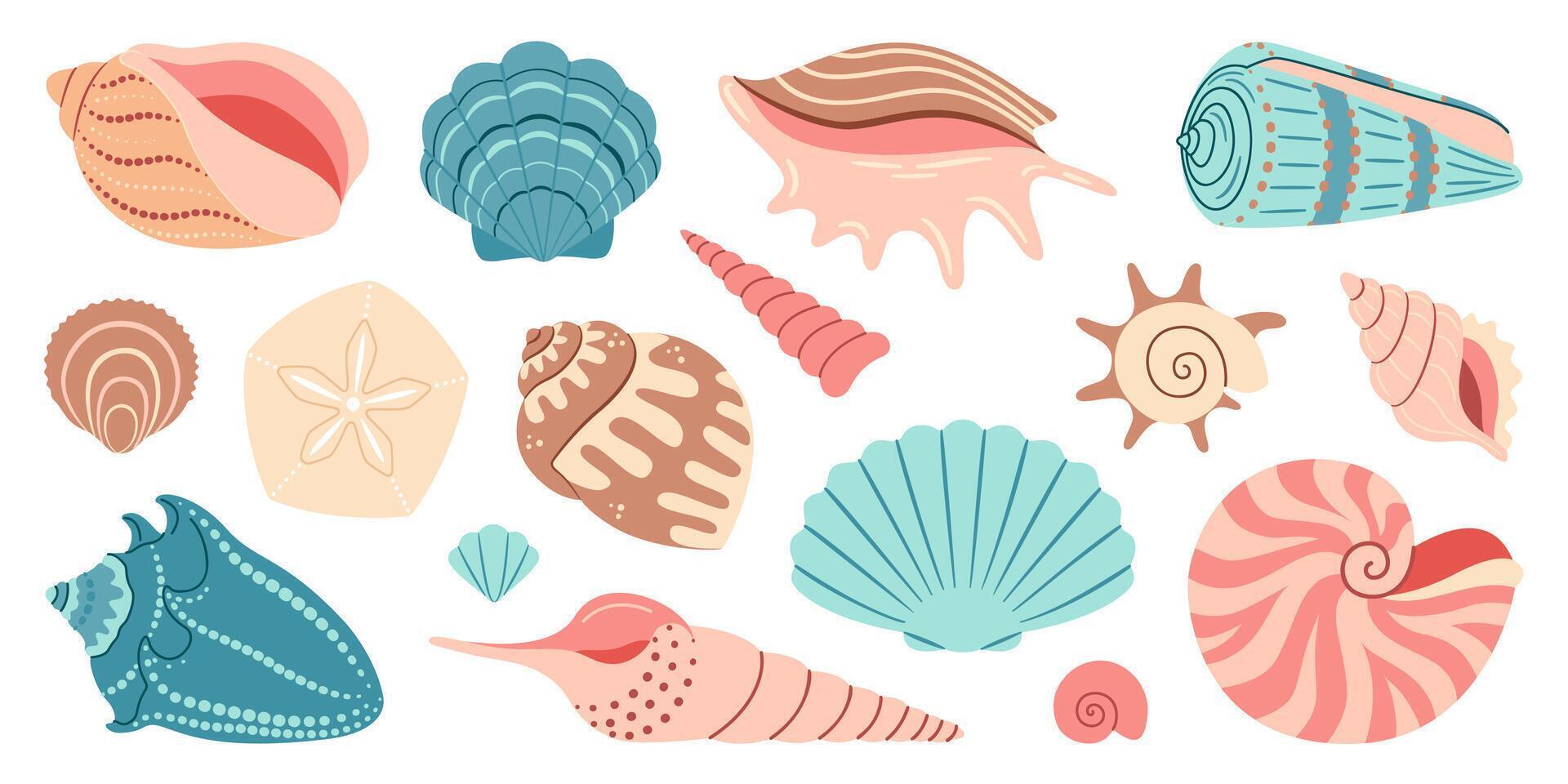 mar cáscara dibujos animados colocar. Oceano exótico submarino concha concha acuático molusco, mar espiral caracol recopilación. tropical playa conchas moderno plano estilo aislado en blanco antecedentes. ilustración vector