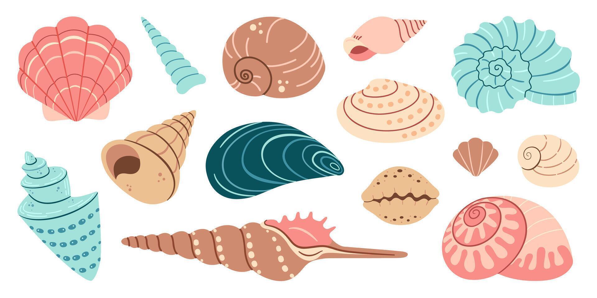 Sea shell cartoon set. Ocean exotic underwater seashell conch aquatic mollusk, sea spiral snail collection. Tropical beach shells. Modern flat style isolated on white background. illustration vector