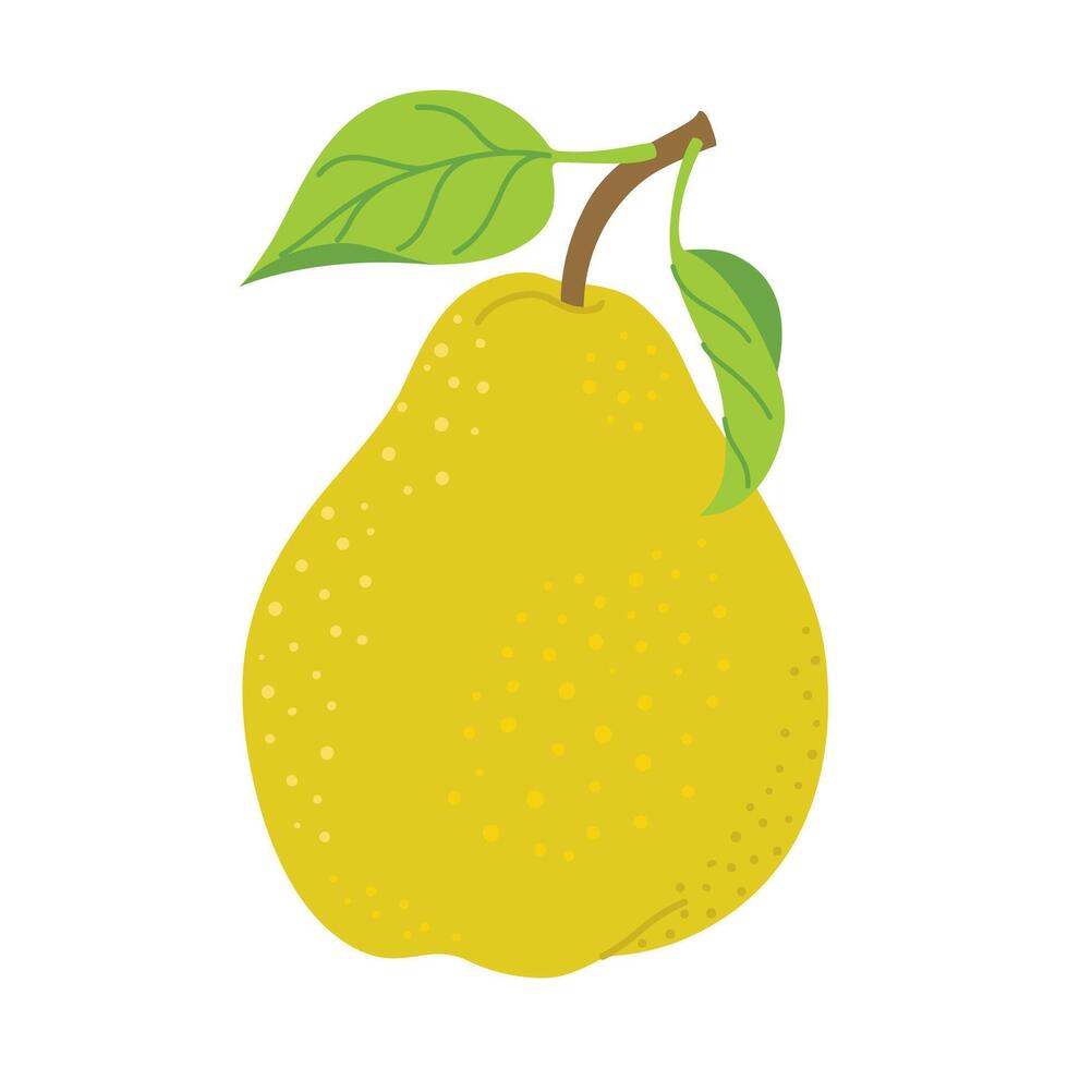 Ripe juicy pear cartoon style. fresh pear with leaves. Modern flat illustration juicy pear, fruits, healthy eating. Isolated on white background. illustration vector