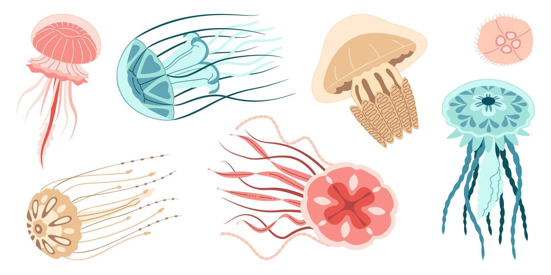 Medusa dibujos animados icono recopilación. medusa de moda plano estilo icono colocar. aislado en blanco antecedentes. ilustración vector
