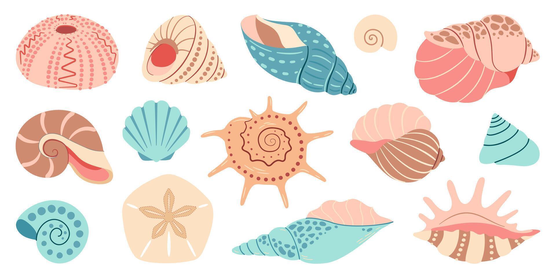 Sea shell cartoon set. Ocean exotic underwater seashell conch aquatic mollusk, sea spiral snail collection. Tropical beach shells. Modern flat style isolated on white background. illustration vector