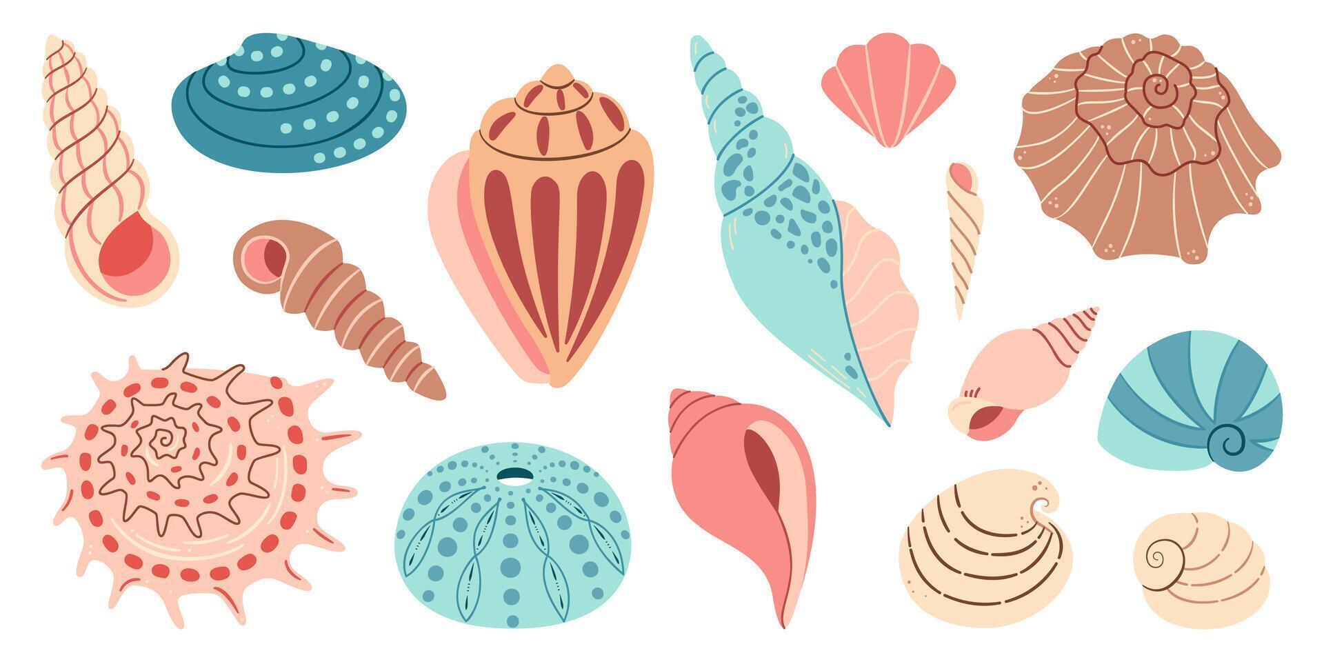 Sea shell cartoon set. Ocean exotic underwater seashell conch aquatic mollusk, sea spiral snail collection. Tropical beach shells. Modern flat style isolated on white background. illustration vector