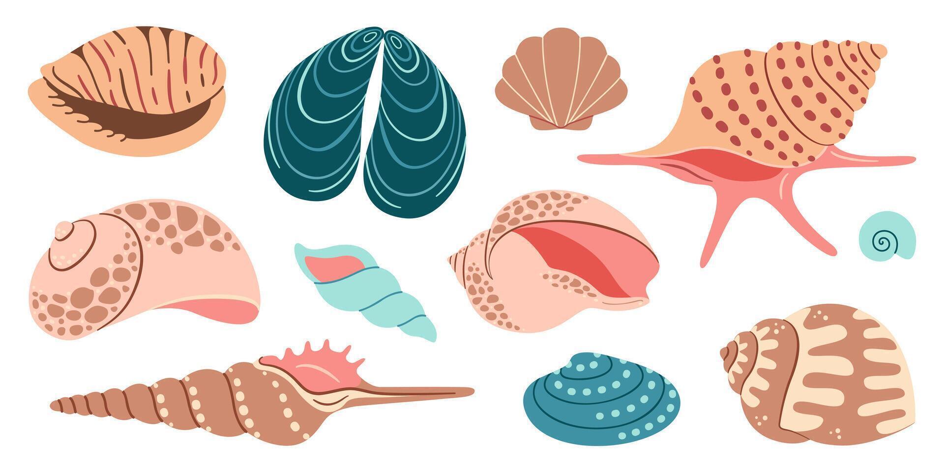 mar cáscara dibujos animados colocar. Oceano exótico submarino concha concha acuático molusco, mar espiral caracol recopilación. tropical playa conchas moderno plano estilo aislado en blanco antecedentes. ilustración vector