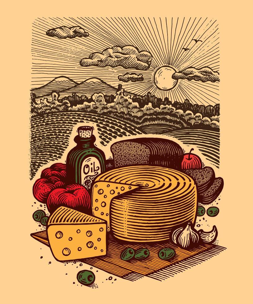Still life with cheese, illustration. Drawing with an ink pen and pencil. Still life with cheese, olive oil, tomatoes, bread, garlic and olives. A collection of farm products. vector