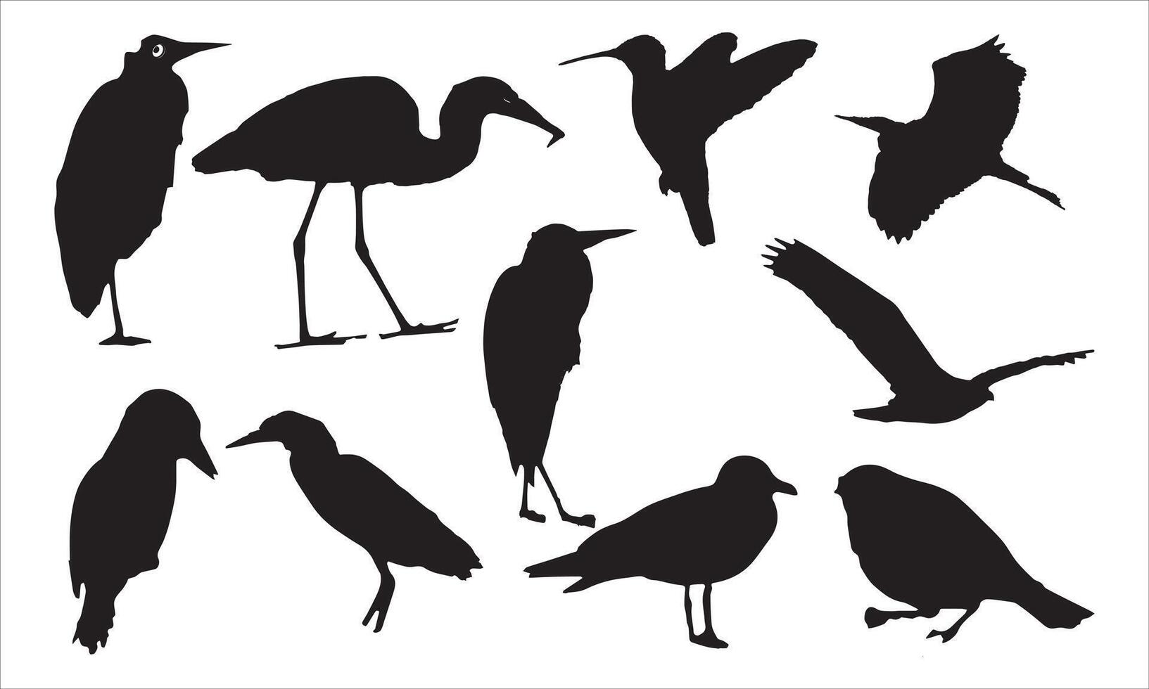 Birds wing silhouette eagle design vector
