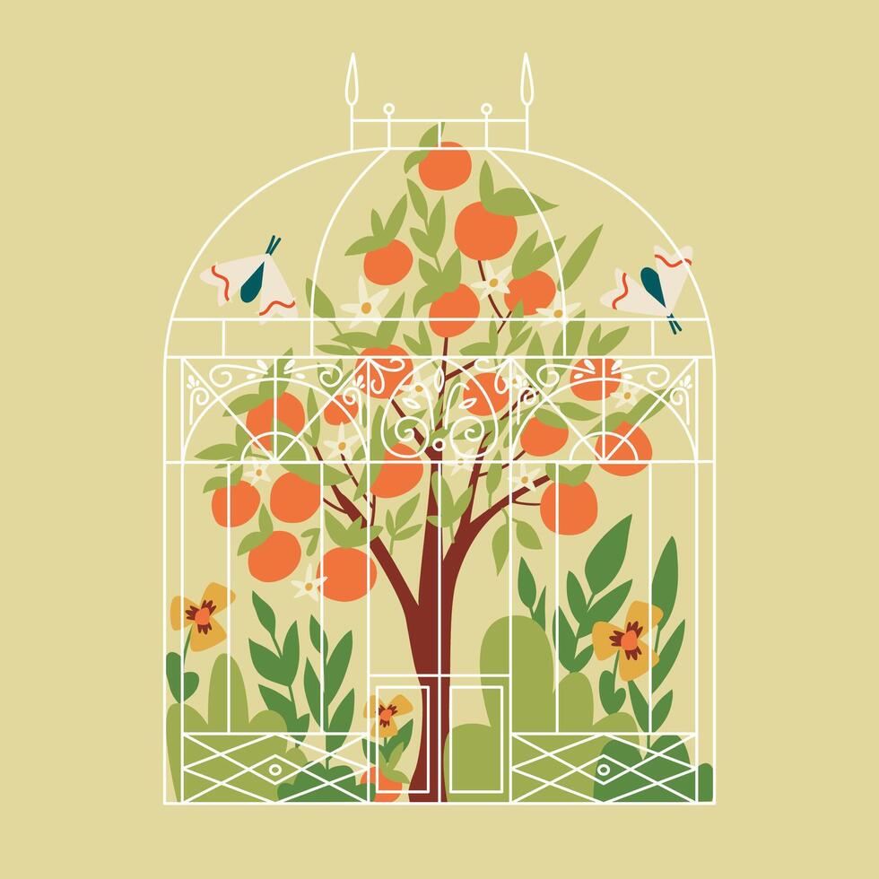 illustration of greenhouse with orange tree. Garden and glasshouse. vector