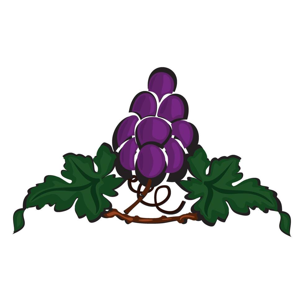 Beautiful bunch of grapes vector