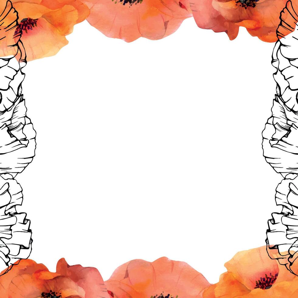 mano dibujado acuarela botánico ilustración flores hojas. rojo amapola papaver, tallos brotes vainas de semillas. frontera marco aislado en blanco antecedentes. diseño boda, amor tarjetas, remembranza día papelería vector
