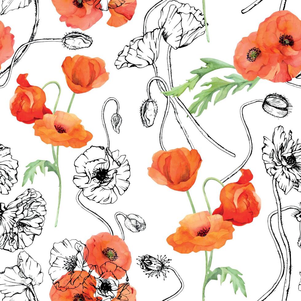 Hand drawn watercolor botanical illustration flowers leaves. Red poppy papaver, stems buds seedpods. Seamless pattern isolated white background. Design wedding, love cards, remembrance day stationery vector