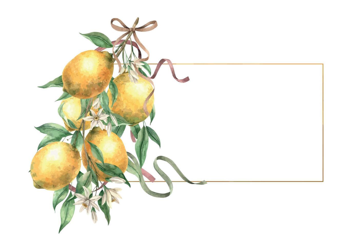 marco con un rama de amarillo limones con flores y seda cintas aislado acuarela ilustración en Clásico estilo. hecho a mano composición para decorando tarjetas, Boda diseño, invitaciones, embalaje vector