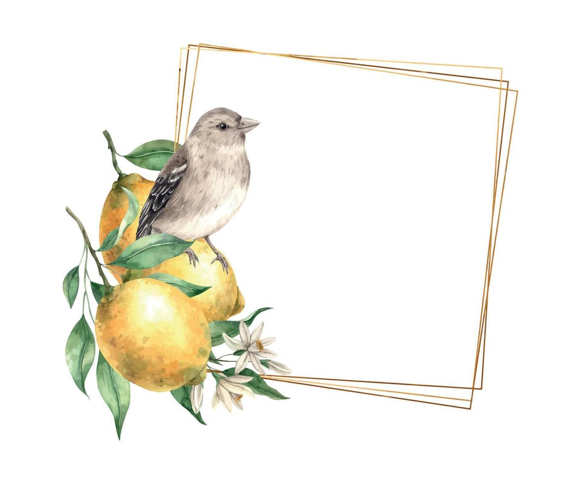 amarillo limón con verde hojas y flores, marrón realista pájaro. aislado acuarela marco en Clásico estilo con oro. mano dibujado para tarjetas, Boda diseño, invitaciones, embalaje. vector